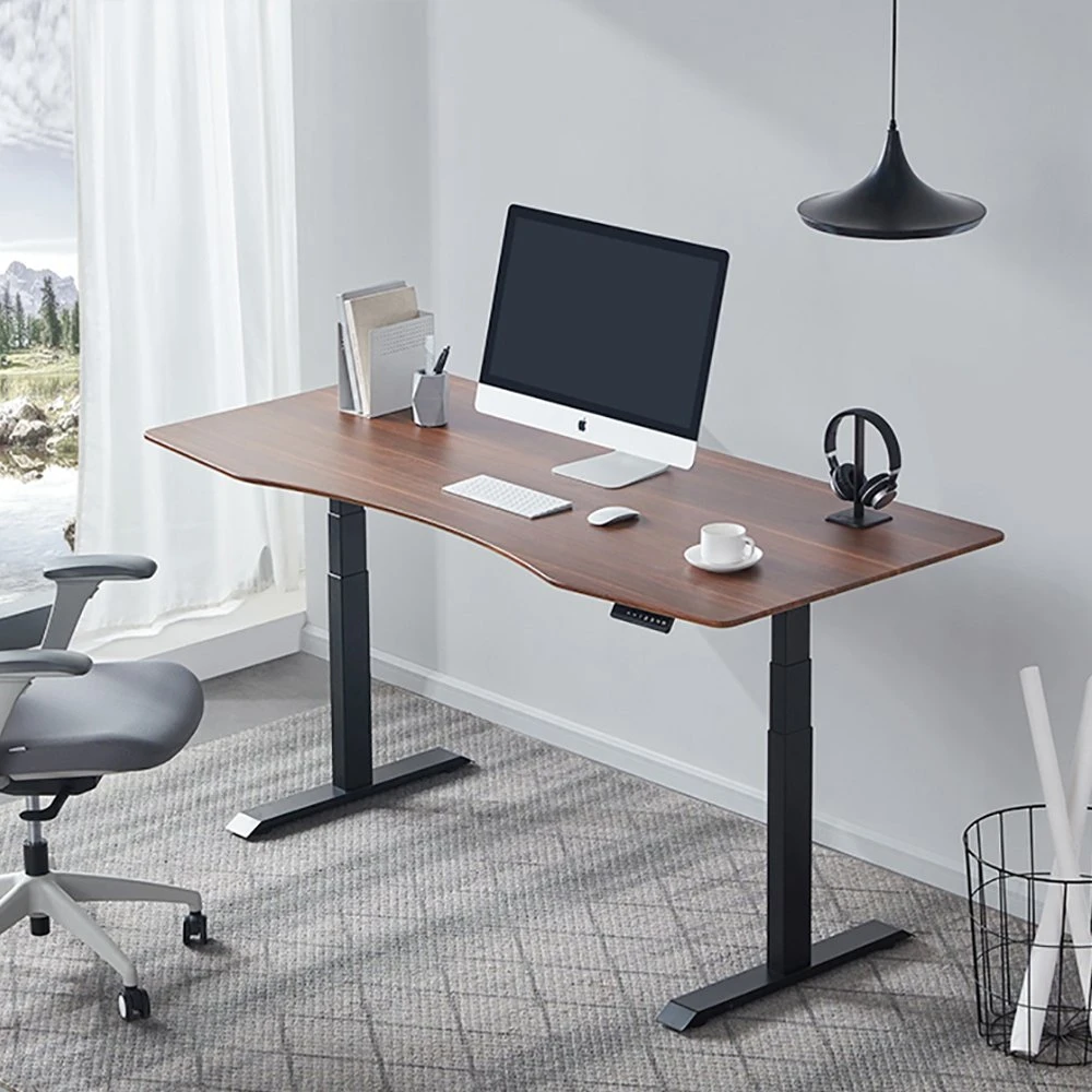 Office Furniture Computer Workstation Adjustable Electric 3 Stages Standing Desk